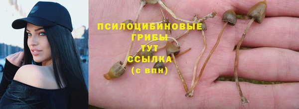 метадон Ельня