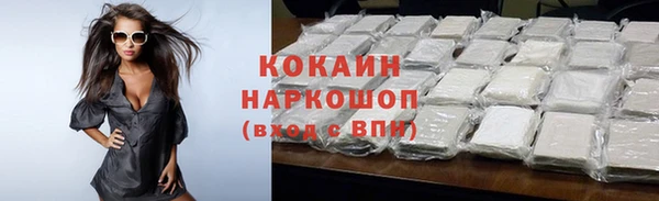 метадон Ельня