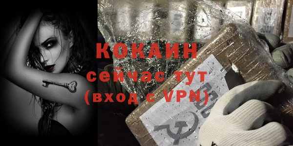крисы Елабуга