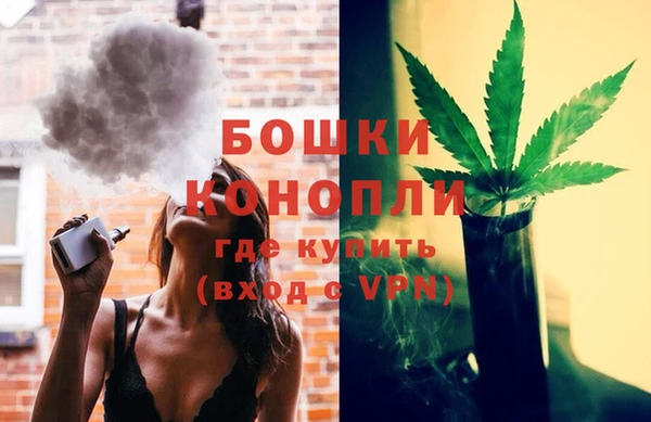 крисы Елабуга