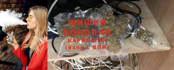 метадон Ельня