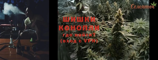 крисы Елабуга