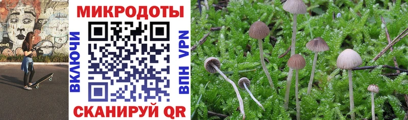 Купить закладки  Демидов  Псилоцибиновые грибы MAGIC MUSHROOMS 